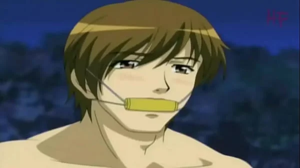 Hana to hebi The series dubbed