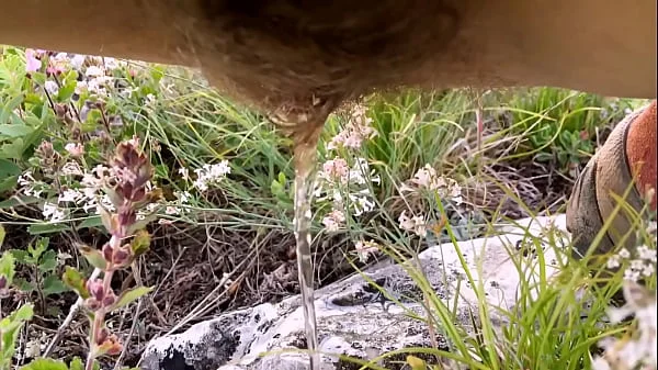Pee outdoors, risky toilet  in the forest