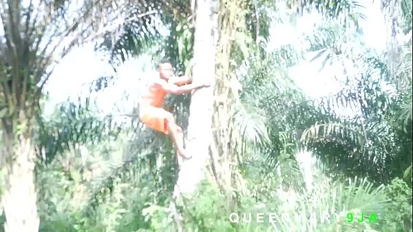 I met her in the bush fetching firewood while I was harvesting Palm fruits, I helped her and she rewarded me with a good fuck
