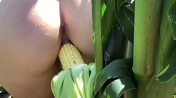 Riley Jacobs playing in corn field